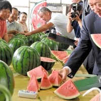 査定会では試食も行われた