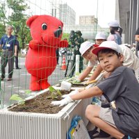 緑のカーテンで夏も安心　千葉県庁舎、児童がアサガオ植え