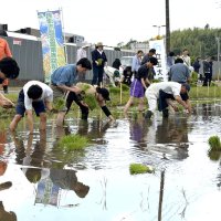 学生が田植え、交流進む　立正大と君津の農業者