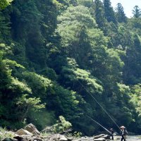 市原市と大多喜町を流れる養老川で１日、アユ釣りが解禁された。この日を待ちわびた釣り人が早朝から魚影を追った＝大多喜町　佐藤大介撮影