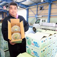 恒例「初夏の味」お届け　飯岡メロン出荷始まる　濃厚爽やかな甘み　旭